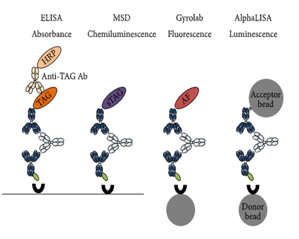 PP电子游戏免疫原性钻研四大平台