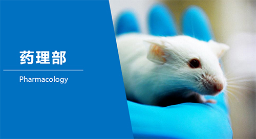 PP电子游戏临床前钻研-药理部