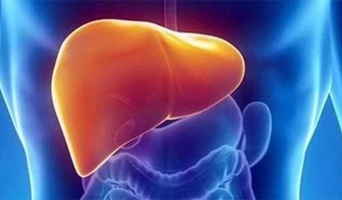 【PP电子游戏助力】NASH领域新进展！海普丁HPD001即将在美启动临床试验