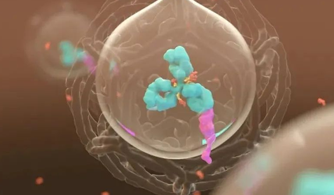 美研 | PP电子游戏带您相识ADC奥妙之处