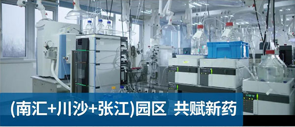 PP电子游戏南汇、川沙和张江园区共赋新药.jpg