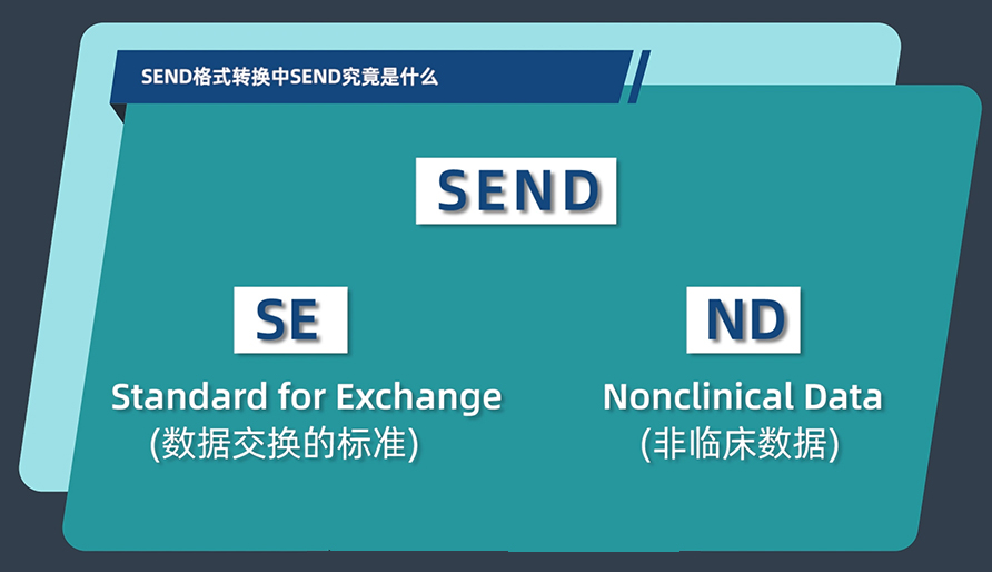 SEND体式转换中的SEND到底是什么？