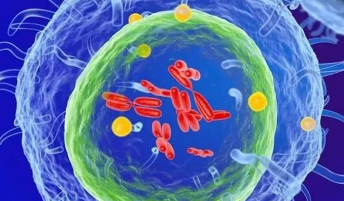  PP电子游戏助力 | 信诺维抗肿瘤1类新药XNW14010获批临床.png