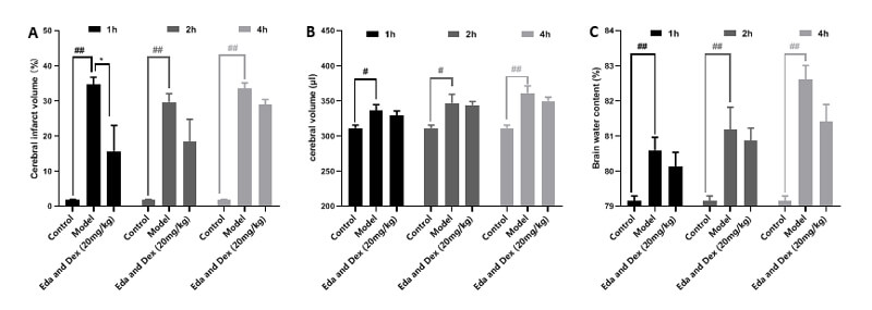 7-医治功夫窗调查-A：TTC；B：脑体积，C：脑含水量.jpg