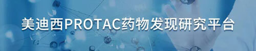 PP电子游戏protac药物发现钻研平台.jpg