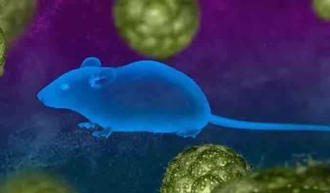 PP电子游戏药效服务赋能First-in-Class泛素化抑造剂研发