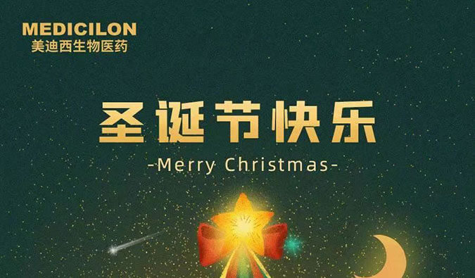 Merry Christmas！PP电子游戏祝您圣诞节欢乐！