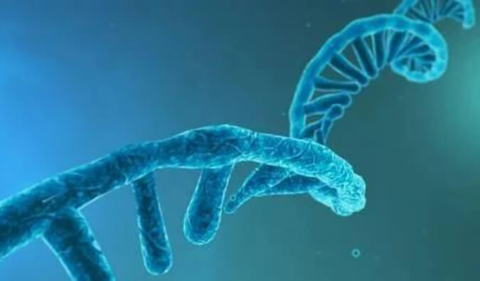 美研丨寡核苷酸药物市场远景、发展挑战及应对战术