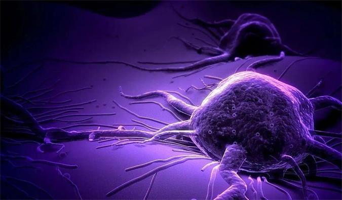 PP电子游戏助力轩竹生物研发的齐全敲除岩藻糖的双抗ADC药物KM501获批临床