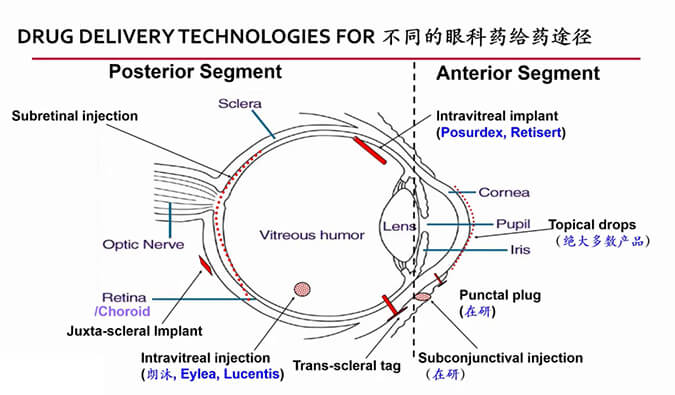 【内附回放+下半场预约】PP电子游戏眼科药物专题钻研会上半场杰出回首
