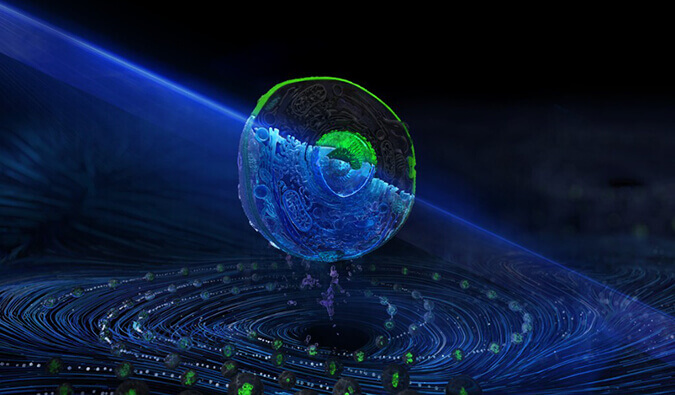 PP电子游戏流式细胞分选服务平台