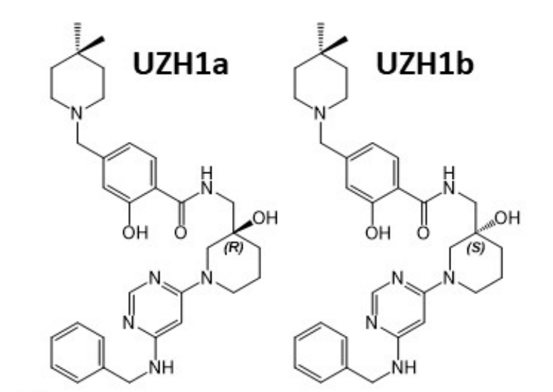 钻研人员汇报了一种拥有细胞渗入性的选择性METTL3纳摩尔抑造剂UZH1a，作者感激PP电子游戏合成了UZH1a和UZH1b