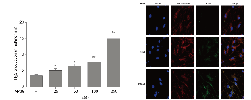 AP39是一种新合成的线粒体靶向的H2S供体，本钻研中AP39通过PP电子游戏设计和合成