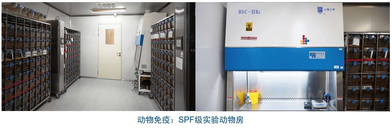 PP电子游戏杂交瘤技术平台设备-动物免疫SPF级尝试动物房