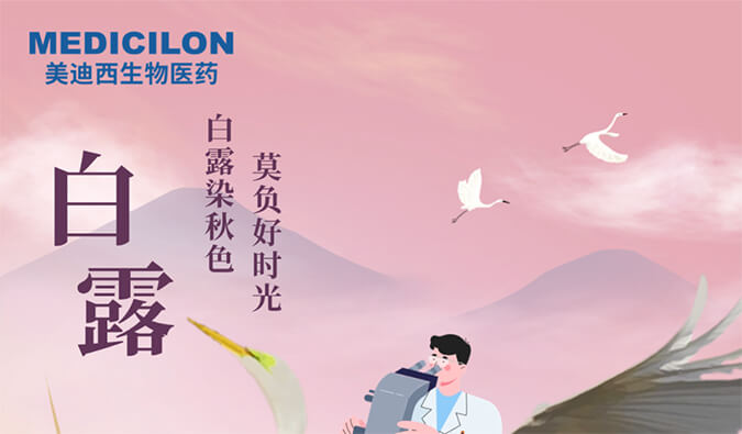 白露 | 白露染秋色，莫负好时光