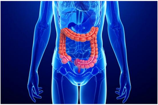 PP电子游戏一站式助力 | 宝太生物首个中美双报创新药获批