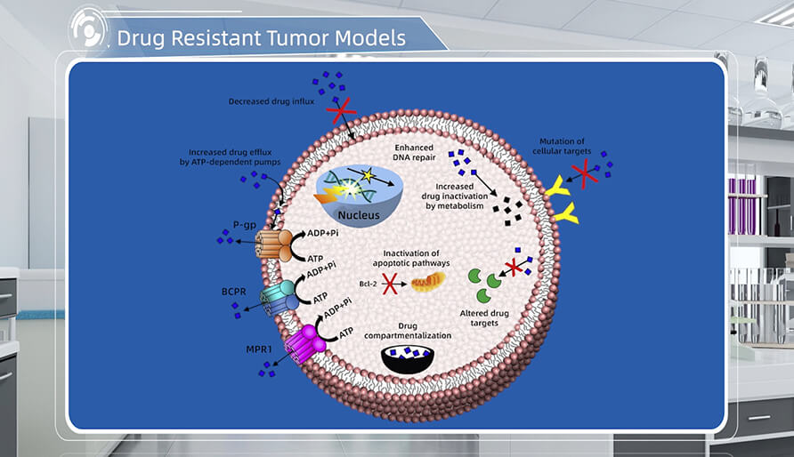 肿瘤耐药机造是什么？