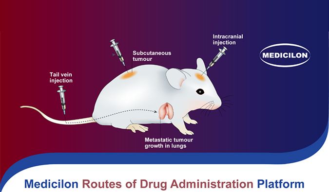 美研| 多种给药蹊径大盘点