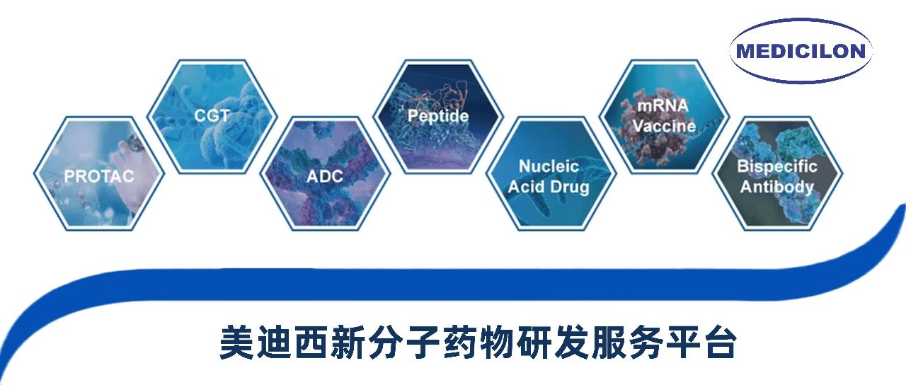 PP电子游戏新分子类型药物研发服务平台