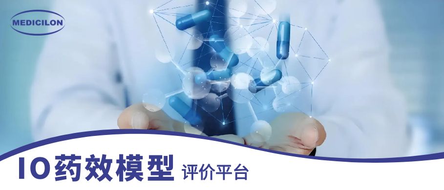 PP电子游戏IO药效模型