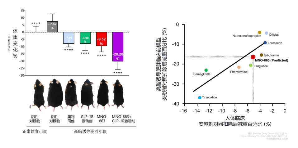 4周降低近10%体沉！PP电子游戏助力慕恩生物MNO-863活菌生物药获批临床