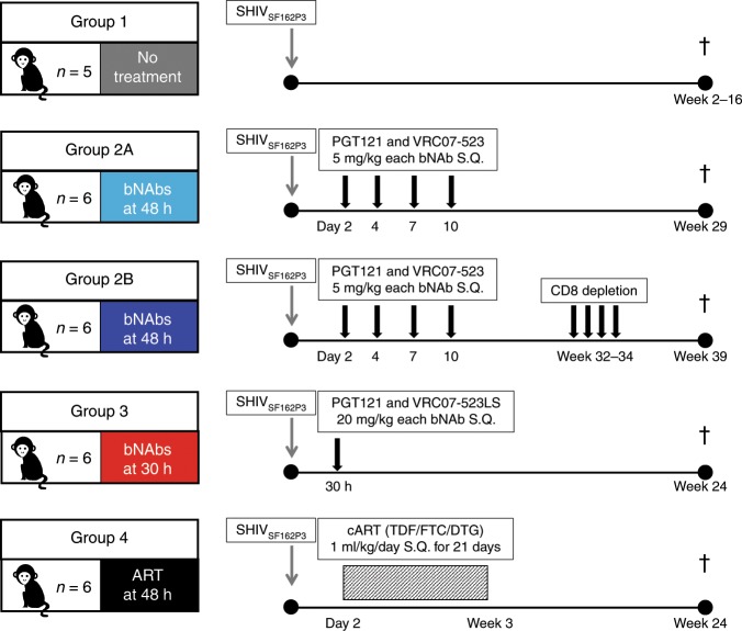 抗逆转录病毒疗法(ART)预防围产期HIV习染，本钻研中多替拉韦钠盐和游离态均由PP电子游戏提供
