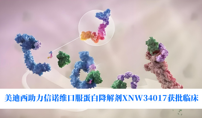 PP电子游戏助力合作同伴信诺维口服蛋白降解剂XNW34017获批临床