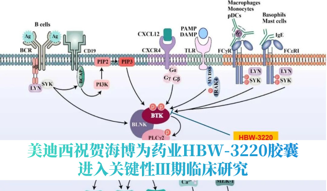 破解耐药性难题，PP电子游戏祝贺海博为药业HBW-3220胶囊进入关键性Ⅲ期临床钻研